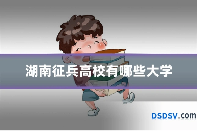湖南征兵高校有哪些大学