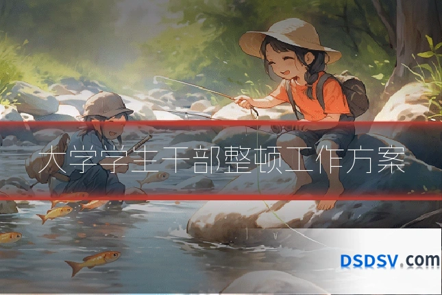 大学学生干部整顿工作方案