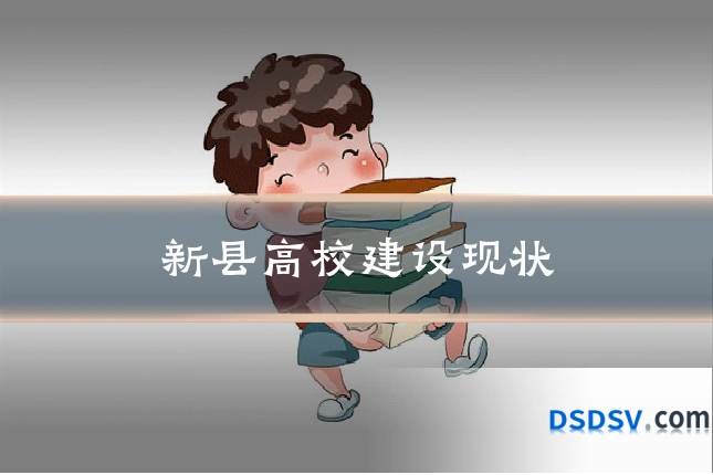 新县高校建设现状