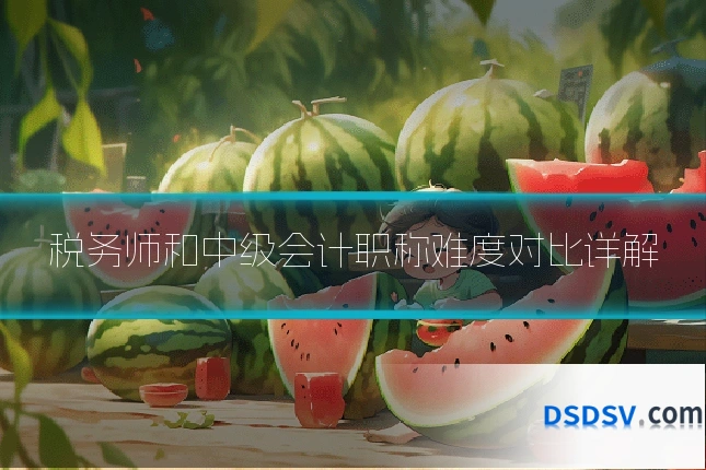 税务师和中级会计职称难度对比详解