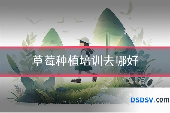 草莓种植培训去哪好