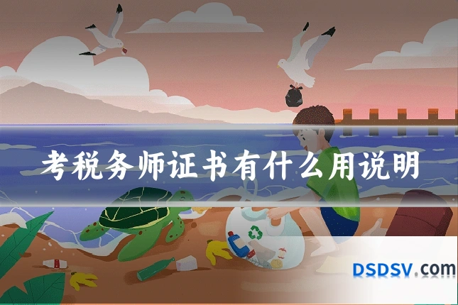考税务师证书有什么用说明