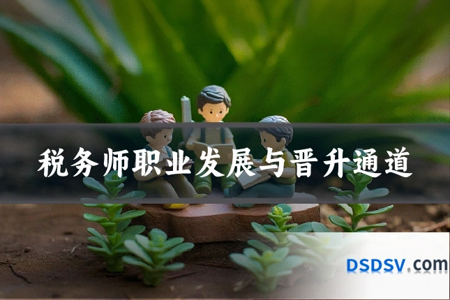 税务师职业发展与晋升通道