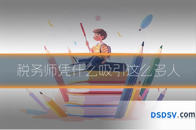 税务师凭什么吸引这么多人