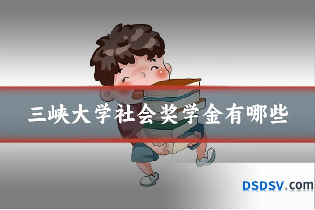 三峡大学社会奖学金有哪些