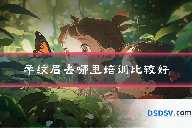 学纹眉去哪里培训比较好