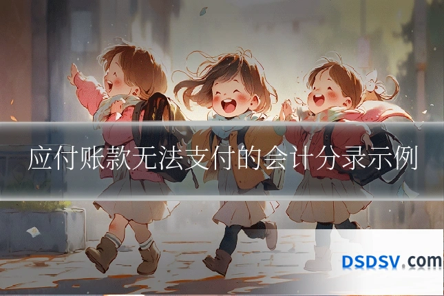 应付账款无法支付的会计分录示例