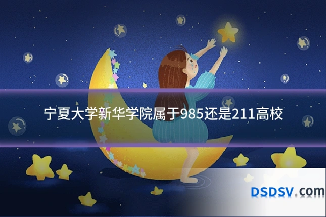 宁夏大学新华学院属于985还是211高校
