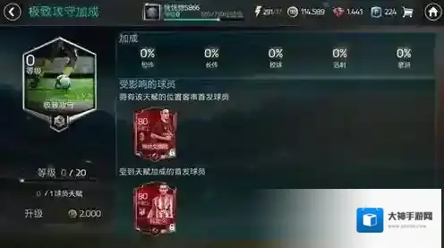 FIFA足球世界能力