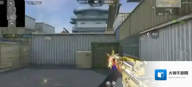 穿越火线枪战王者王者之武