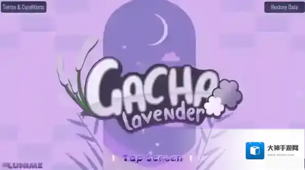 加查薰衣草薰衣草