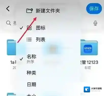 blackmagic camera找到