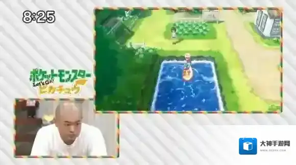 精灵宝可梦LetsGo皮卡丘伊布皮卡丘