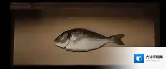 逃离方块悖论成就