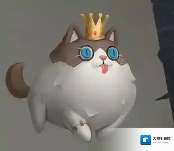 第五人格摄影师