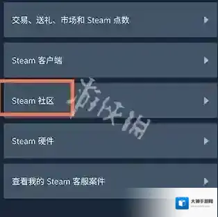 steam列表