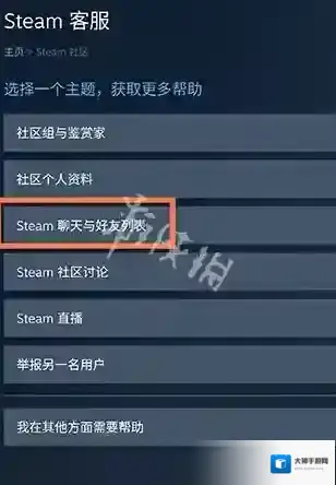 steam直播