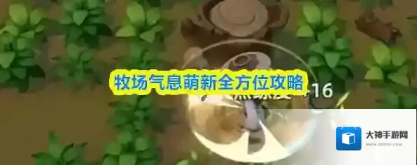 牧场气息萌新全方位攻略