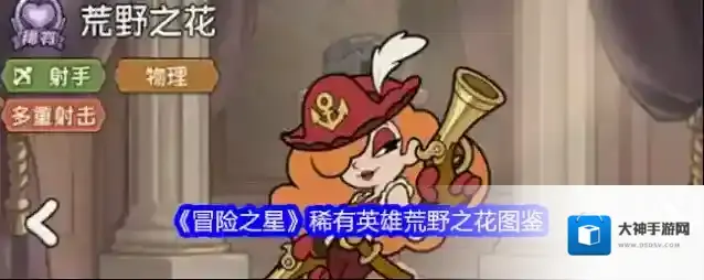 《冒险之星》稀有英雄荒野之花图鉴