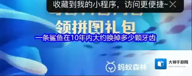 一条鲨鱼在10年内大约换掉多少颗牙齿