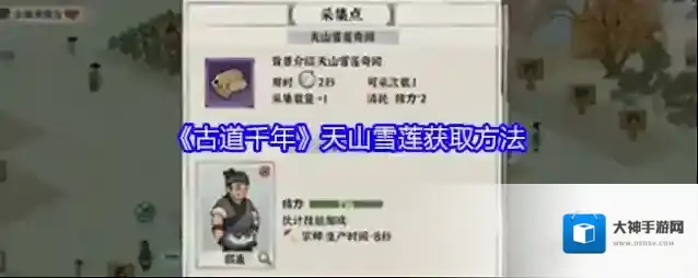 《古道千年》天山雪莲获取方法