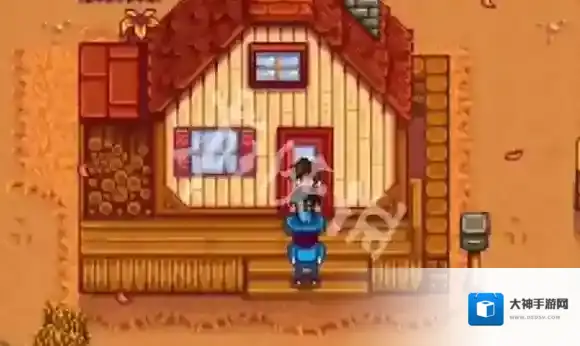 星露谷物语捐赠