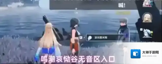 鸣潮哀恸谷无音区入口