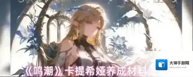 《鸣潮》卡提希娅养成材料汇总