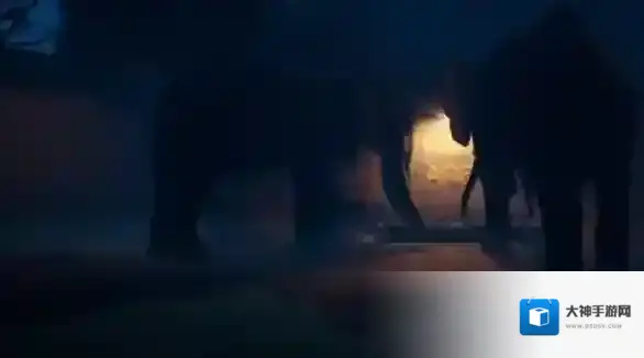 癫狂动物园园区