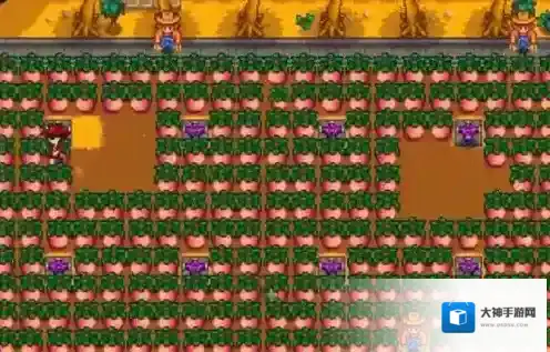 星露谷物语研究