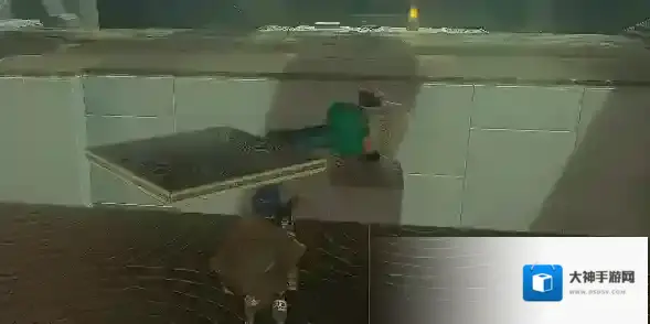 塞尔达传说王国之泪马亚