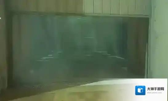 塞尔达传说王国之泪放在