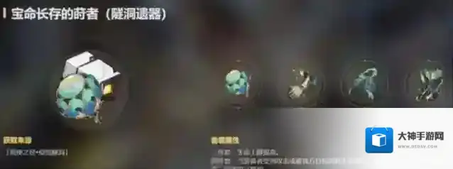 崩坏星穹铁道宝命长存的莳者遗器介绍