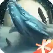 代号息壤官方最新版