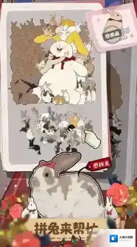 挤在一起的兔兔关卡