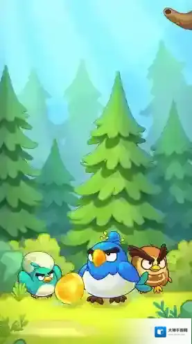 萌鸟总动员可爱的小鸟