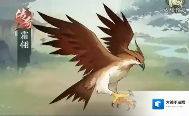 自在江湖推荐理由