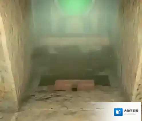 塞尔达传说王国之泪引光