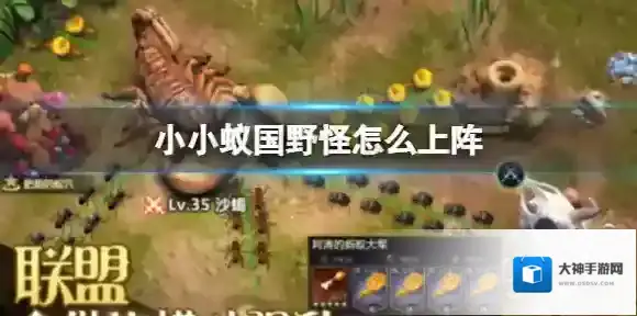 小小蚁国联盟工资怎么拿 联盟工资获取方法介绍