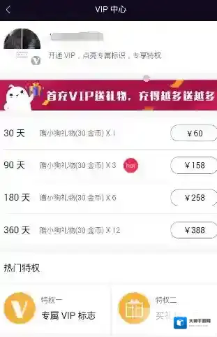 《美聊》vip功能使用说明介绍