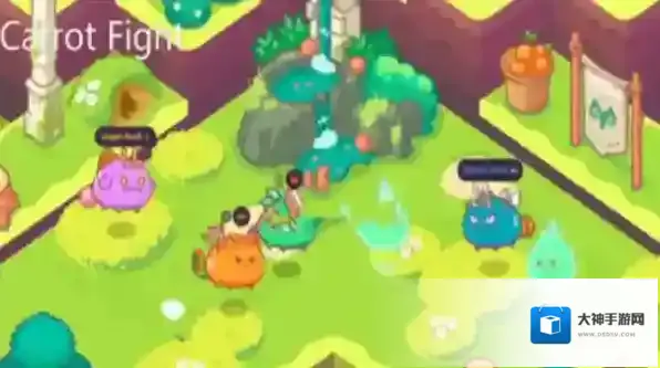 胡萝卜大作战玩家