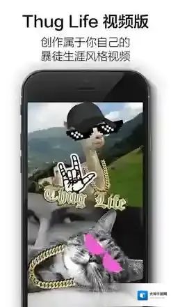 《暴徒生活》相关功能作用介绍