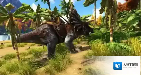 黑暗与光明香草