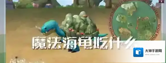 创造与魔法龟吃什么呢