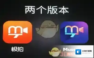 《极拍》能否去水印相关介绍