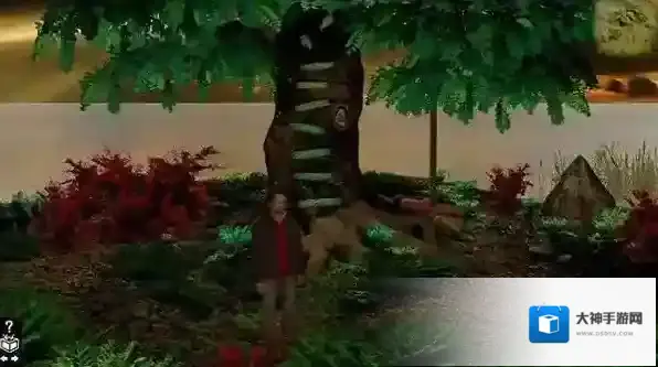 木箱樟Cedar chest剧情