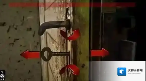 木箱樟Cedar chest探索