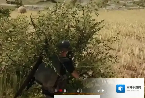 和平精英怎么埋伏敌人 伏地魔养成指南