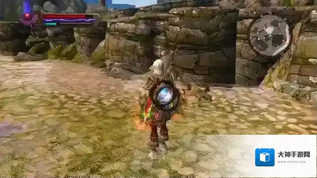 阿玛拉王国玩家