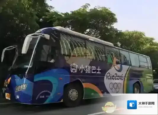 《小猪巴士》常见问题解答